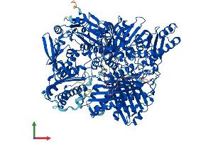 AlphaFold protein structure predicition of Mouse Recombinant Aox3 Protein, UniprotID G3X982 (Aox3 Protein (AA 1-1335) (His tag))