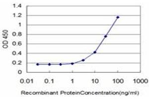 Image no. 1 for anti-Eukaryotic Translation Initiation Factor 4 gamma 3 (EIF4G3) (AA 1-516) antibody (ABIN599055) (EIF4G3 antibody  (AA 1-516))