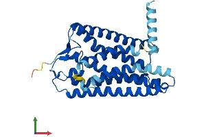 AlphaFold protein structure predicition of Human Recombinant OR6C3 Protein, UniprotID Q9NZP0 (OR6C3 Protein (AA 1-311) (His tag))