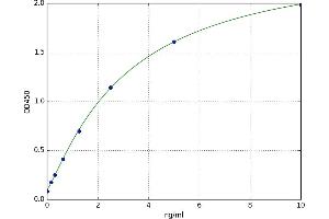 A typical standard curve