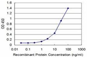 Detection limit for recombinant GST tagged IRAK4 is approximately 1ng/ml as a capture antibody. (IRAK4 antibody  (AA 255-351))