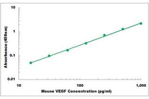 Representative Standard Curve (VEGF ELISA Kit)