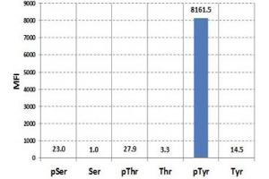 Luminex analysis of the recombinant Phosphotyrosine antibody reaction against phosphorylated or non-phosphorylated Serine, Threonine, and Tyrosine. (Recombinant Phosphotyrosine antibody)