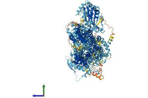 AlphaFold protein structure predicition of Human Recombinant ADCY10 Protein, UniprotID Q96PN6 (ADCY10 Protein (AA 1-1610) (His tag))