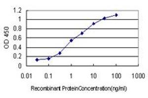 Detection limit for recombinant GST tagged HGS is approximately 0. (HGS antibody  (AA 513-612))