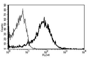 Flow Cytometry (FACS) image for anti-CD82 (CD82) antibody (PE) (ABIN1106589) (CD82 antibody  (PE))