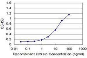 Detection limit for recombinant GST tagged LIMK1 is approximately 1ng/ml as a capture antibody. (LIM Domain Kinase 1 antibody  (AA 548-647))