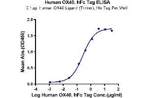 Immobilized Human OX40 Ligand (Trimer), His Tag at 1 μg/mL (100 μL/well) on the plate.