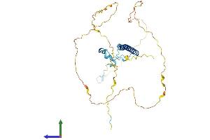 Protein Structure (PS) image for Coiled-Coil Domain Containing 86 (CCDC86) (AA 1-360) protein (His tag) (ABIN7553206)