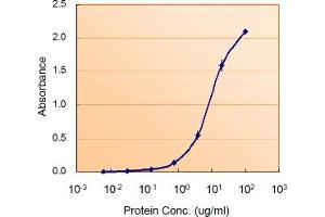 ABIN190766 (5ug/ml) as the reporter with  as the capture rabbit antibody (5ug/ml). (Glucose-6-Phosphate Dehydrogenase antibody  (AA 308-320))