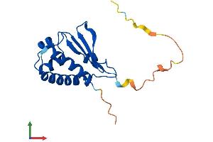 AlphaFold protein structure predicition of Human Recombinant BTG2 Protein, UniprotID P78543