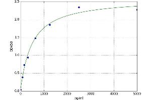 Interferon Regulatory Factor 5 (IRF5) ELISA Kit