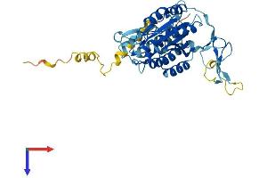 Protein Structure (PS) image for General Transcription Factor IIH, Polypeptide 2C (GTF2H2C) (AA 1-395) protein (His tag) (ABIN7544288)