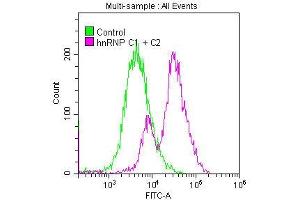 Flow Cytometry (FACS) image for anti-Heterogeneous Nuclear Ribonucleoprotein C (C1/C2) (HNRNPC) antibody (ABIN7127547)