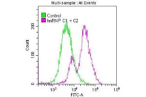 Overlay histogram showing MCF-7 cells stained with ABIN7127547 (red line) at 1:50. (Recombinant HNRNPC antibody)