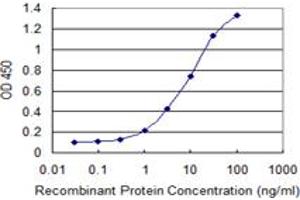 Detection limit for recombinant GST tagged MYST3 is 0. (MYST3 antibody  (AA 81-179))