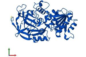 Protein Structure (PS) image for Alcohol Dehydrogenase 4 (Class II), pi Polypeptide (ADH4) (AA 1-377) protein (His tag) (ABIN7561802)
