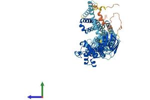 AlphaFold protein structure predicition of Mouse Recombinant Abcd2 Protein, UniprotID Q61285 (CCL17 Protein (AA 1-741) (His tag))