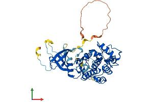 AlphaFold protein structure predicition of Mouse Recombinant Cdk9 Protein, UniprotID Q99J95 (CDK9 Protein (AA 1-372) (His tag))