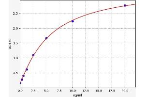 GNRHR ELISA Kit