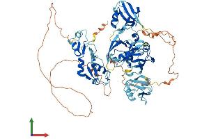 AlphaFold protein structure predicition of Human Recombinant LNX1 Protein, UniprotID Q8TBB1 (LNX1 Protein (AA 1-728) (His tag))