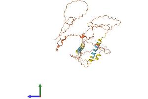 AlphaFold protein structure predicition of Mouse Recombinant Tex24 Protein, UniprotID Q5DP50 (Tex24 Protein (AA 1-351) (His tag))