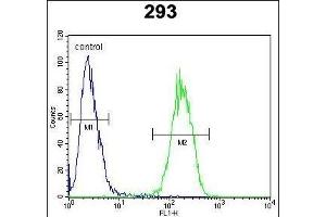 IL17F Antibody (N-term) (ABIN654914 and ABIN2844560) flow cytometric analysis of 293 cells (right histogram) compared to a negative control cell (left histogram).