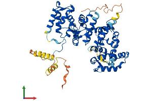 AlphaFold protein structure predicition of Mouse Recombinant Ppp2r3d Protein, UniprotID Q9Z176 (Ppp2r3d Protein (AA 1-491) (His tag))
