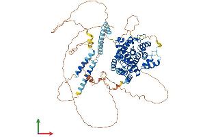 AlphaFold protein structure predicition of Mouse Recombinant Pde4d Protein, UniprotID Q01063