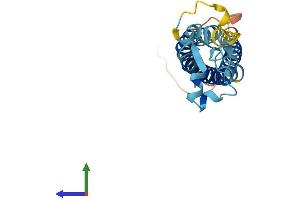 Protein Structure (PS) image for Transmembrane 4 Superfamily Member 4 (TM4SF4) (AA 1-202) protein (His tag) (ABIN7560084)
