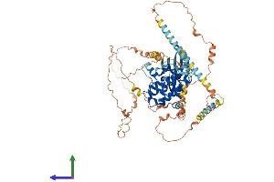 Protein Structure (PS) image for NIMA-Related Kinase 5 (NEK5) (AA 1-627) protein (His tag) (ABIN7558289)