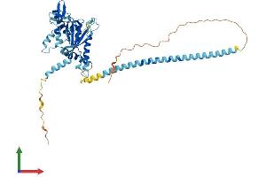 AlphaFold protein structure predicition of Mouse Recombinant Septin10 Protein, UniprotID Q8C650 (Septin 10 Protein (SEPT10) (AA 1-452) (His tag))