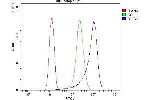 Flow Cytometry analysis of HELA cells using anti-PDE6 alpha/PDE6A antibody (ABIN7599710). (PDE6A antibody  (AA 11-237))