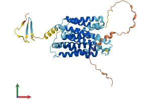 Protein Structure (PS) image for NIPA-Like Domain Containing 4 (NIPAL4) (AA 1-406) protein (His tag) (ABIN7559038)
