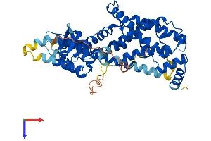 RASGEF1B Protein (AA 1-473) (His tag)