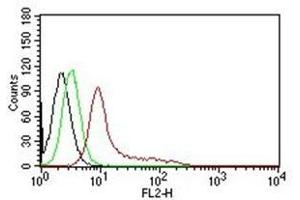 Flow Cytometry of human Ku (p70/p80) on K562 cells. (XRCC6/XRCC5 antibody)