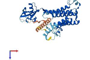 Trans-2,3-Enoyl-CoA Reductase-Like (TECRL) (AA 1-363) protein (His tag)
