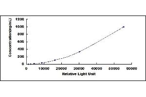 Typical standard curve (Haptoglobin CLIA Kit)