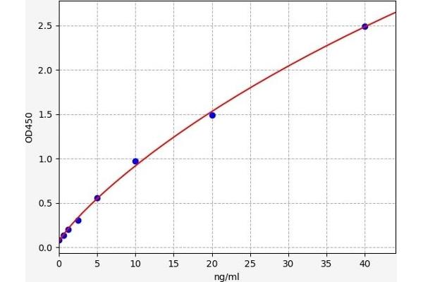 A1BG ELISA Kit