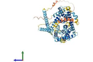 AlphaFold protein structure predicition of Mouse Recombinant Slc9a8 Protein, UniprotID Q8R4D1 (NHE8 Protein (AA 1-576) (His tag))