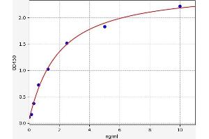 P2RX1 ELISA Kit