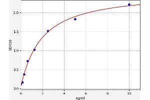 Typical standard curve (P2RX1 ELISA Kit)