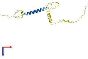 AlphaFold protein structure predicition of Human Recombinant C10orf105 Protein, UniprotID Q8TEF2 (C10orf105 Protein (AA 1-133) (His tag))