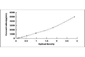 Typical standard curve (FCN3 ELISA Kit)