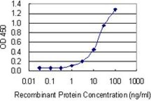 ELISA image for anti-Protein Phosphatase, Mg2+/Mn2+ Dependent, 1B (PPM1B) (AA 1-192) antibody (ABIN562341)