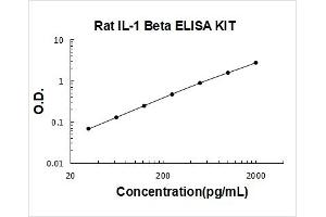 Rat IL-1 beta PicoKine ELISA Kit standard curve