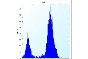 DDIT4 Antibody (C-term) (ABIN652188 and ABIN2840691) flow cytometric analysis of 293 cells (right histogram) compared to a negative control cell (left histogram). (DDIT4 antibody  (C-Term))