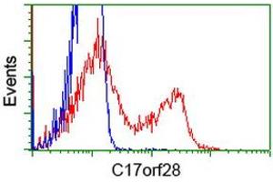 HEK293T cells transfected with either RC206740 overexpress plasmid (Red) or empty vector control plasmid (Blue) were immunostained by anti-C17orf28 antibody (ABIN2452862), and then analyzed by flow cytometry. (HID1/DMC1 antibody)