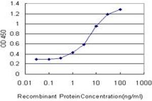 Detection limit for recombinant GST tagged MAGEA4 is approximately 0. (MAGEA4 antibody  (AA 98-171))