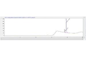 Image no. 1 for Parathyroid Hormone (PTH) peptide (Ovalbumin) (ABIN5666323) (Parathyroid Hormone (PTH) peptide (Ovalbumin))